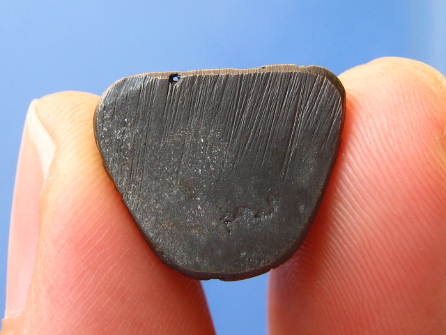 รูปหล่อ หลวงพ่อล้วน วัดท่าศิริ จ.เพชรบุรี