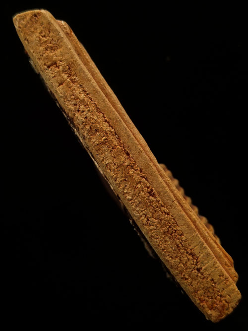 พระสมเด็จ 9 ชั้น วัดเกาะกลอย ปี 2514. หลวงปู่ทิม วัดละหารไร่ปลุกเสก