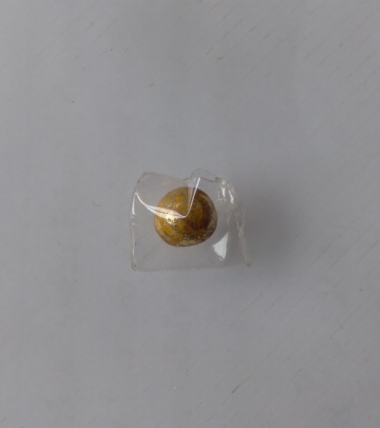 ลูกอมเทียนไม่ทราบที่