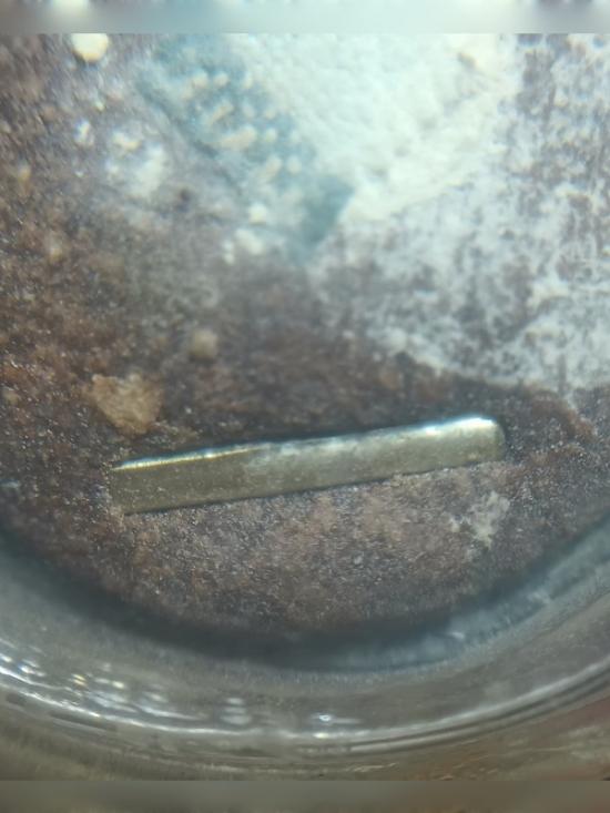 สิงห์ตะปบเหยื่อ - ผ้าขาวม้า หลวงพ่อสุพจน์ วัดศรีทรงธรรม นครสวรรค์