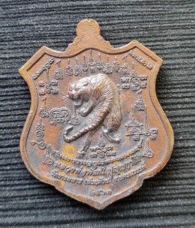 พยัคฆ์เจ้าพระยา ๒๕๖๓..เหรียญหล่อเนื้อชนวน กล่องเดิม..ลพ.พัฒน์ วัดห้วยด้วน จ.นครสวรรค์ / ส่ง ems