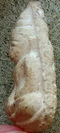 เนื้อผงพิมพ์คล้ายวัดตะไกร