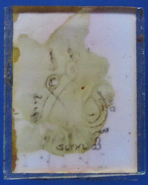 รูปถ่ายอัดกระจกอาจารย์ไพร่ วัดสวนมะม่วง จ.ปทุมธานี