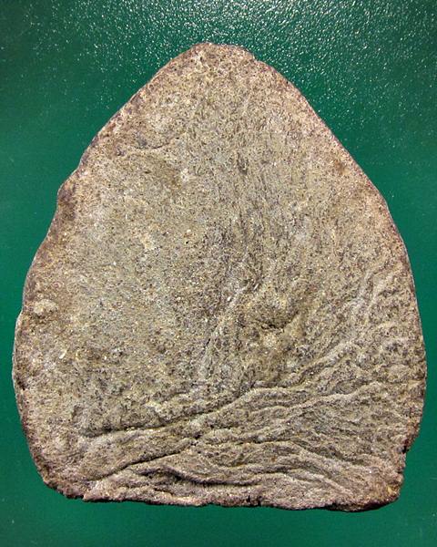 พระนารายค์ทรงปืนเนื้อดิน