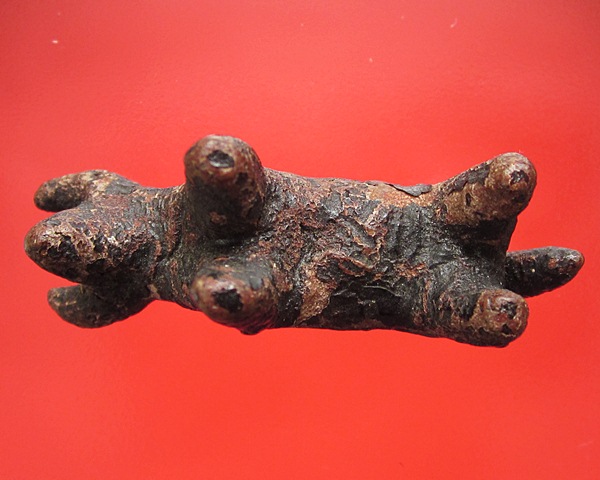 วัวธนูหลวงพ่อน้อย วัดศรีษะทอง นครปฐม ยุคปลาย ครั่งพุดซา ยาว4ซ.ม.