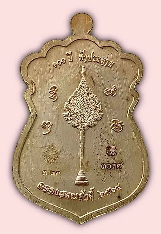 เหรียญเสมา ๑๐๐ ปี ฟ้าประทาน ฉลองสมณศักดิ์ เนื้อทองสัตตะ หน้ากากทองแดงรมดำ หลวงพ่อพัฒน์ วัดห้วยด้วน น