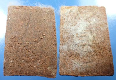 แพ็คคู่ 2 องค์สมเด็จ 7 ชั้น วัดพระธาตุพนม พ.ศ.๒๕๑๘ แท้เก่าแก่สุดยอดพิธีปี ๑๘ ครับท่าน*224