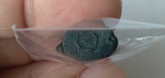 เสือหลวงพ่อปานเนื้อโลหะไม่ทราบรุ่น