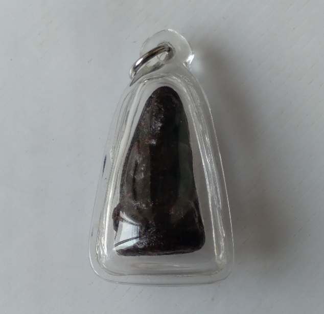 รูปลอยองค์หลวงพ่อทองสุข วัดโตนดหลวง