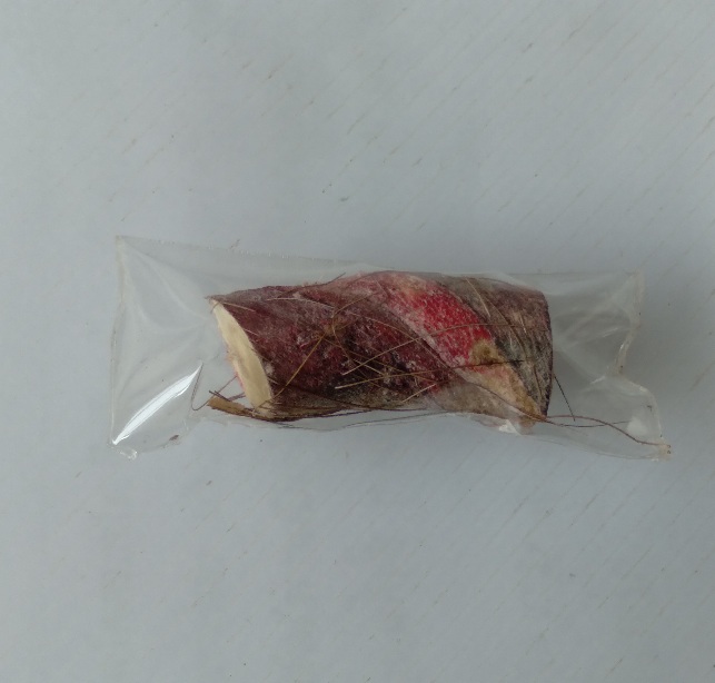 เชือกประกำ