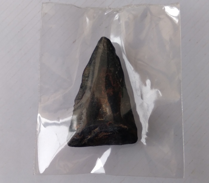 พระพุทธชินราชหลวงพ่อทาบ วัดกระบกขึ้นผึ้ง จ.ระยอง