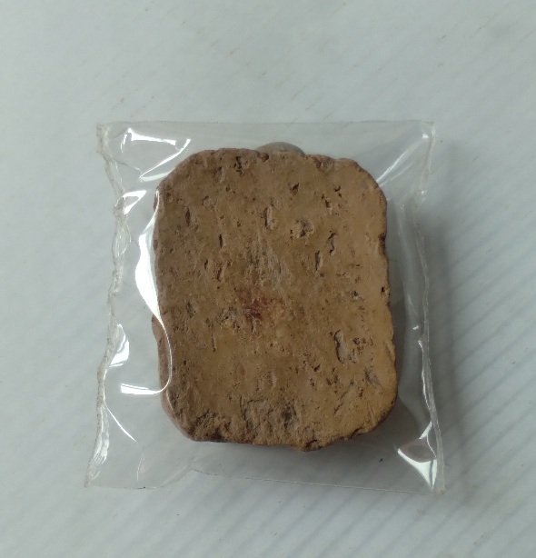 พระเนื้อดินพิมพ์ขี่ปลา