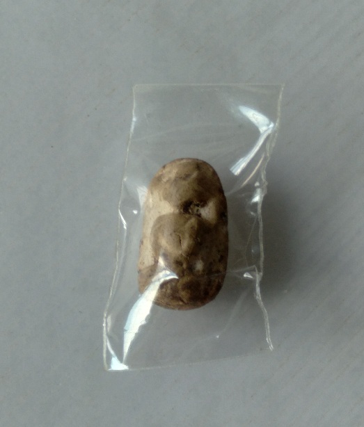 พระพิมพ์วัดพลับวัดประสาท สร้างปี2506