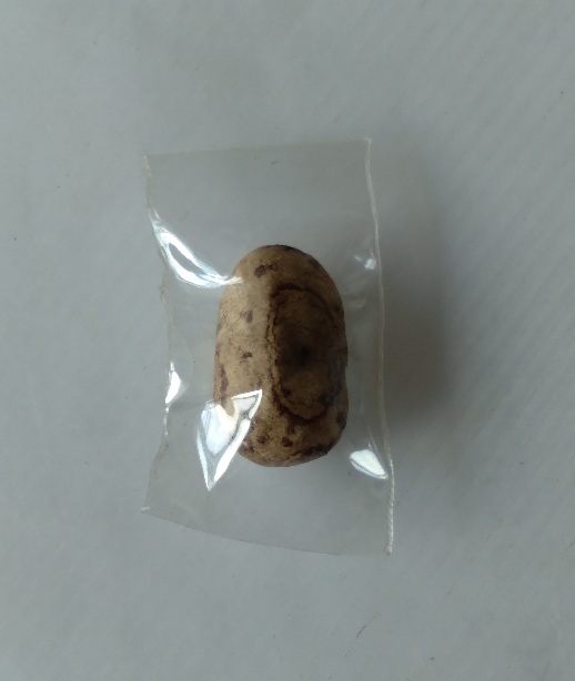 พระพิมพ์วัดพลับวัดประสาท สร้างปี2506