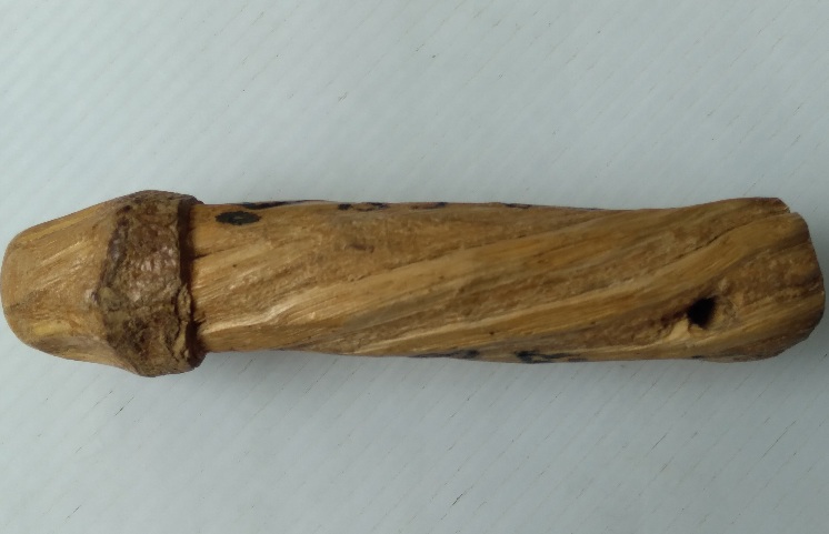 ปลัดขิกไม่ทราบที่