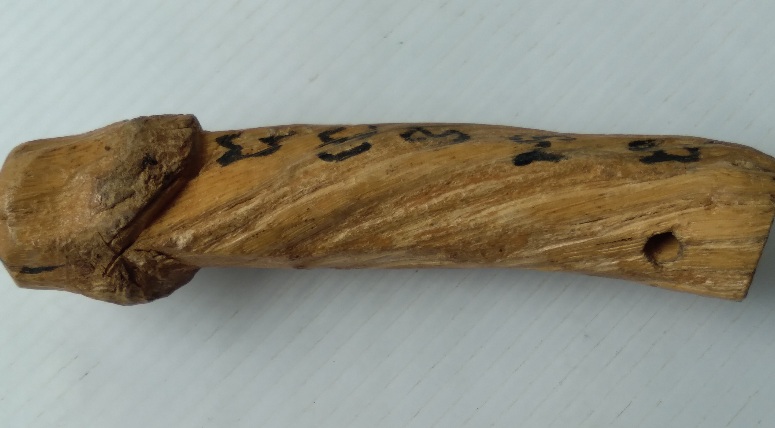 ปลัดขิกไม่ทราบที่