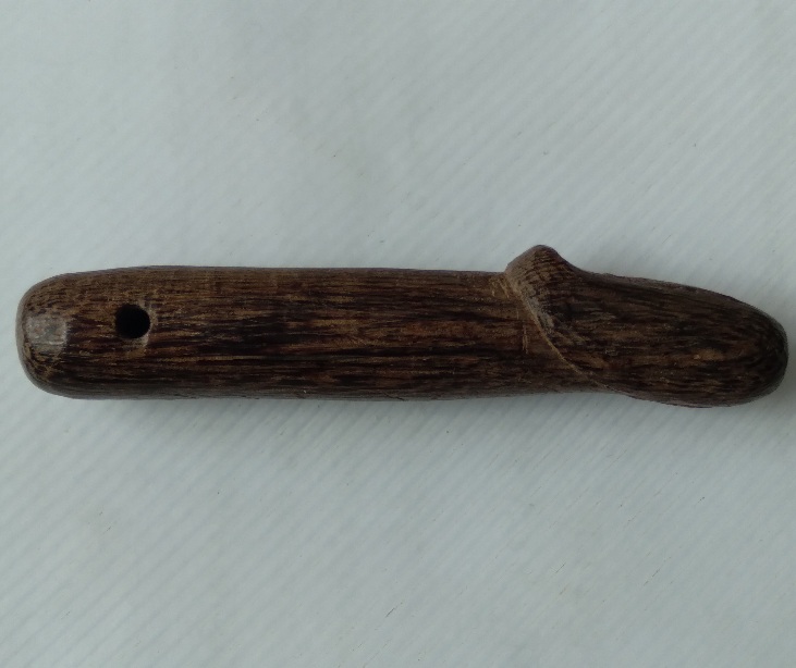 ปลัดขิกไม่ทราบที่