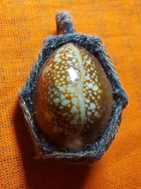 เบี้ยแก้จน  หลวงปู่มหาศิลา สิริจันโท สวนสงฆ์แกเปะ วัดโพธิ์ศรีสะอาด # 4