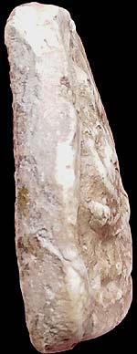 *พิมพ์สังกัจจายน์วัดเงินคลองเตย ผงอินโดจีน ปี๒๔๘๕ หลวงพ่อสุพจน์ วัดสุทัศน์ฯ*