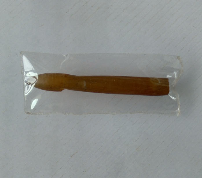 ปลัดขิกเขาควายแกะ