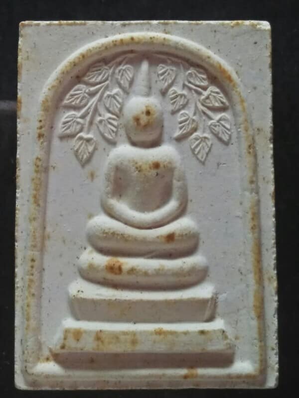 พระสมเด็จปรกโพธ์ หลังยันต์ห้า 