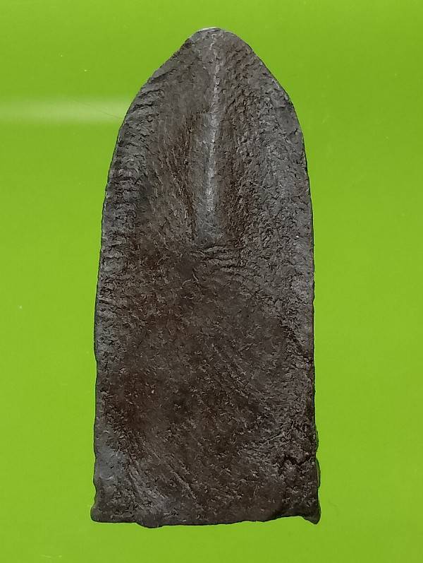 พระรอดเนื้อดำ 