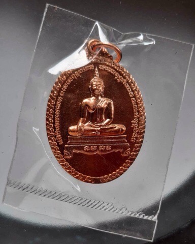 เหรียญพระประธาน ปี2553 ซีนเดิมๆ (หลวงพ่อรวย วัดตะโก ปลุกเสก) #1