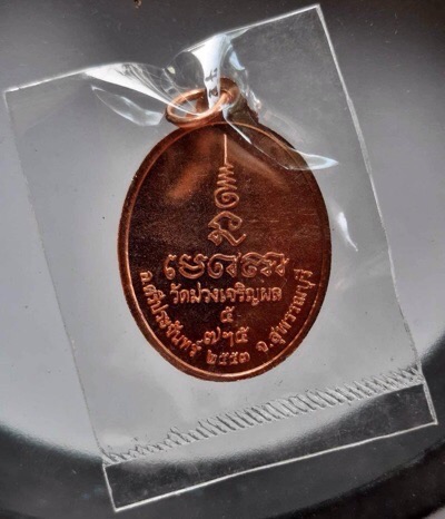 เหรียญพระประธาน ปี2553 ซีนเดิมๆ (หลวงพ่อรวย วัดตะโก ปลุกเสก) #1