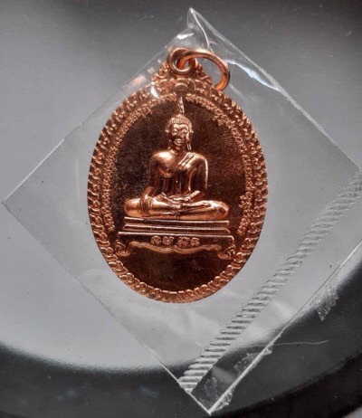 เหรียญพระประธาน ปี2553 ซีนเดิมๆ (หลวงพ่อรวย วัดตะโก ปลุกเสก) #2