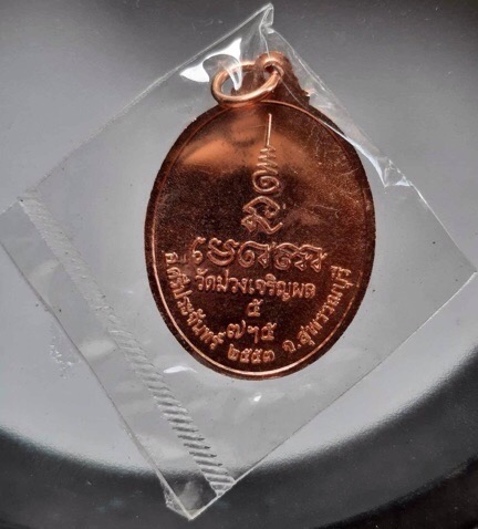 เหรียญพระประธาน ปี2553 ซีนเดิมๆ (หลวงพ่อรวย วัดตะโก ปลุกเสก) #2