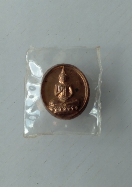 เหรียญเม็กระดุมหลวงปู่สุภา กันตสีโล
