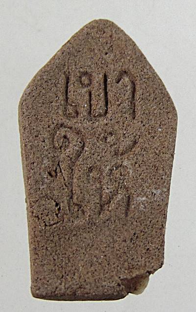 ๒๐ พระนาคปรกมะขาม เนื้อผง