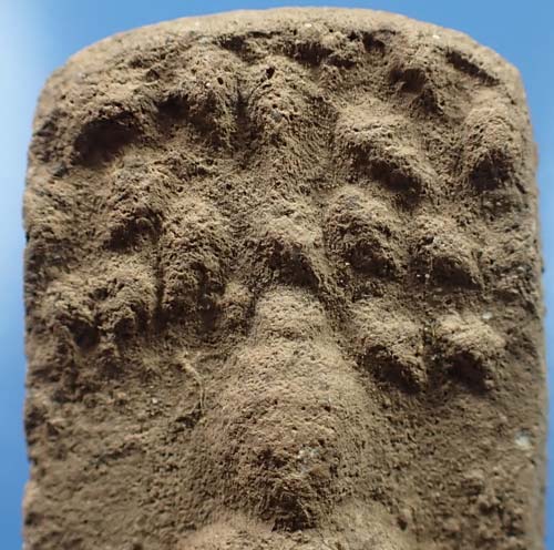 พระผงพรายสมุทร พ.ศ.๒๔๙๖ พ่อท่านเจิม วัดหอยราก นครศรีธรรมราช+บัตรรับรองพระแท้*282