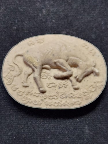 วัดเขาแหลม จ.สระแก้ว  วัวธนู หลวงปู่กาหลง เขี้ยวแก้ว ปี 51 ซองเดิม 