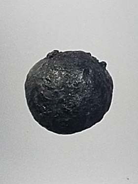 ลูกอมชานหมากมีคุณ ๒๓ ประการ!!! พ่อท่านมุ่ย วัดป่าระกำเหนือ