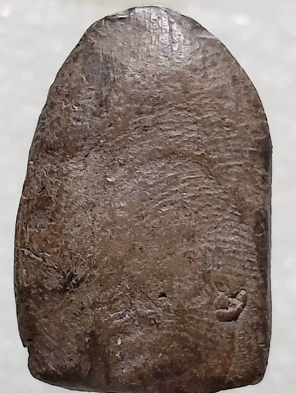 พระซุ้มกอ เนื้อดิน บางๆ 