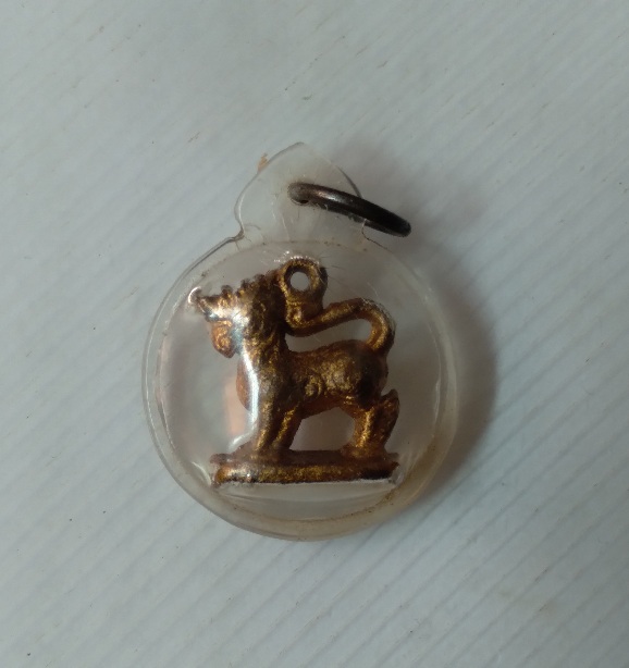 สิงห์เนื้อตะกั่วไม่ทราบที่