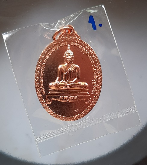 เหรียญพระประธาน วัดม่วงฯ ปี2553 ซีนเดิมๆ (หลวงพ่อรวย วัดตะโก ปลุกเสก) #1