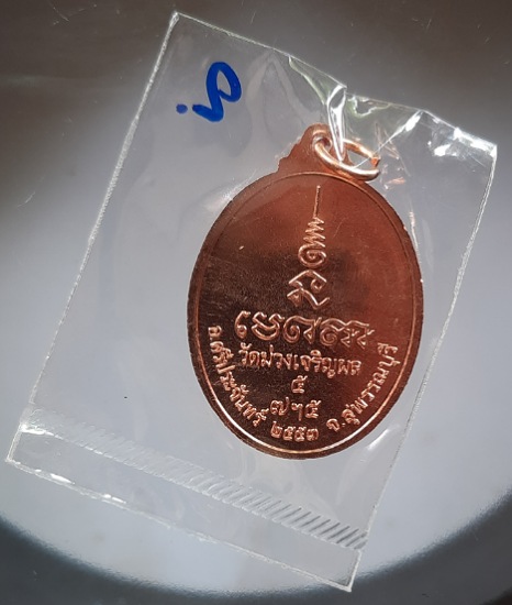 เหรียญพระประธาน วัดม่วงฯ ปี2553 ซีนเดิมๆ (หลวงพ่อรวย วัดตะโก ปลุกเสก) #2