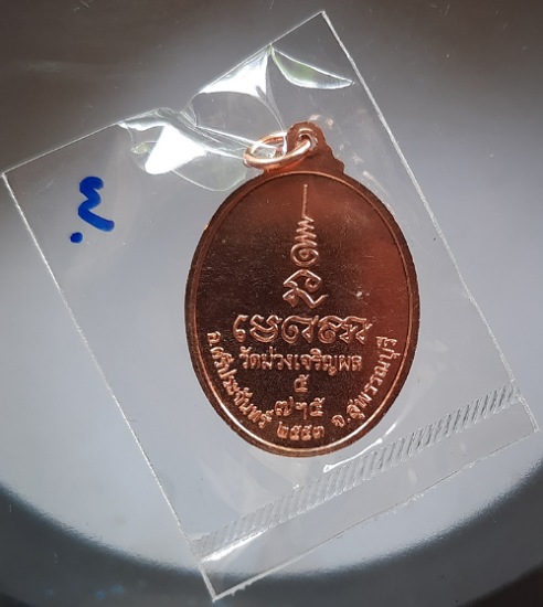 เหรียญพระประธาน วัดม่วงฯ ปี2553 ซีนเดิมๆ (หลวงพ่อรวย วัดตะโก ปลุกเสก) #3