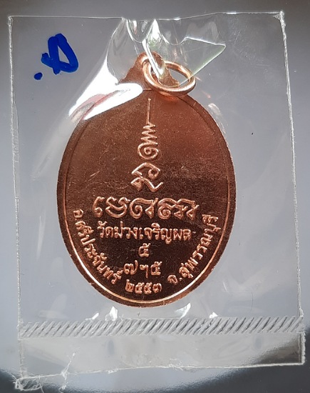 เหรียญพระประธาน วัดม่วงฯ ปี2553 ซีนเดิมๆ (หลวงพ่อรวย วัดตะโก ปลุกเสก) #4