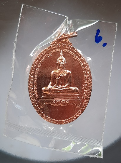เหรียญพระประธาน วัดม่วงฯ ปี2553 ซีนเดิมๆ (หลวงพ่อรวย วัดตะโก ปลุกเสก) #6
