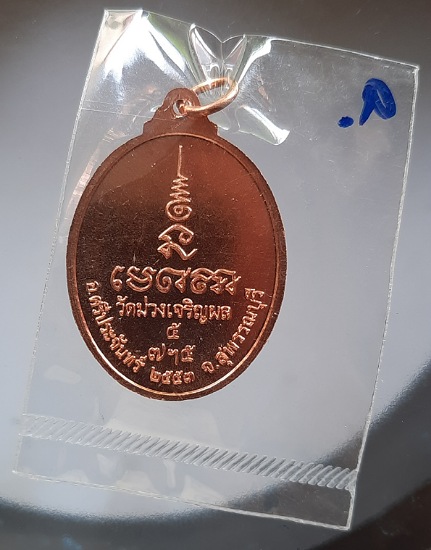 เหรียญพระประธาน วัดม่วงฯ ปี2553 ซีนเดิมๆ (หลวงพ่อรวย วัดตะโก ปลุกเสก) #9
