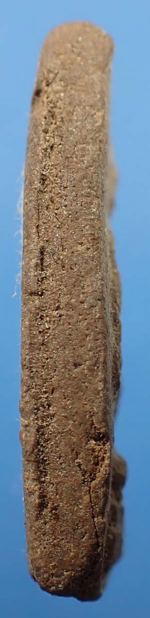 พระนาคปรก พ.ศ.๒๕๑๙ วัดพระธาตุพนม นครพนม+ชุดจากวัดพระธาตุพนม*105