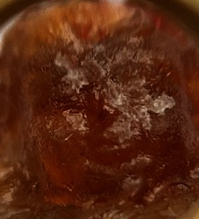  พระสังกัจจายน์ วัดถ้ำรัตนคีรี อุทัยธานี บรรจุพระธาตุสิวลี เคาะเดียว