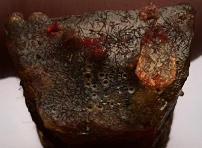  พระสังกัจจายน์ วัดถ้ำรัตนคีรี อุทัยธานี บรรจุพระธาตุสิวลี เคาะเดียว