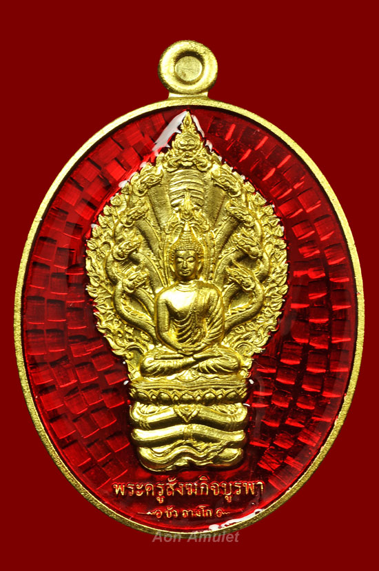 เหรียญนาคปรกเนื้อทองทิพย์ลงยาสีแดง รุ่น มงคลมหาลาภ หลวงปู่บัว ถามโก พ.ศ.2559 หมายเลข 876