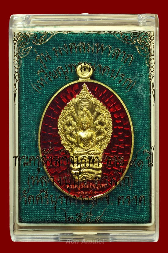 เหรียญนาคปรกเนื้อทองทิพย์ลงยาสีแดง รุ่น มงคลมหาลาภ หลวงปู่บัว ถามโก พ.ศ.2559 หมายเลข 876