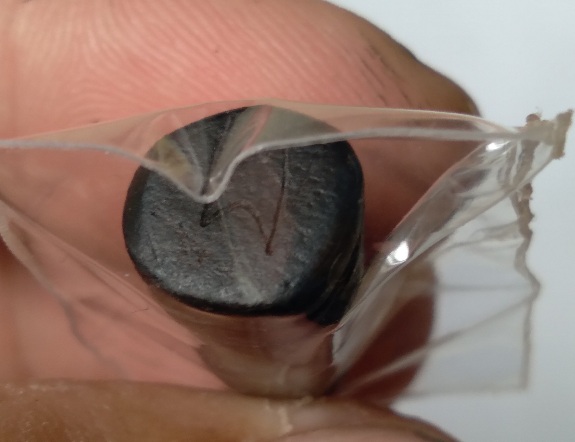 ลิงจับหลักหลวงพ่อฟู วัดบางสมัคร