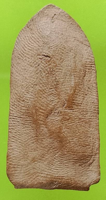 พระเนื้อดิน 